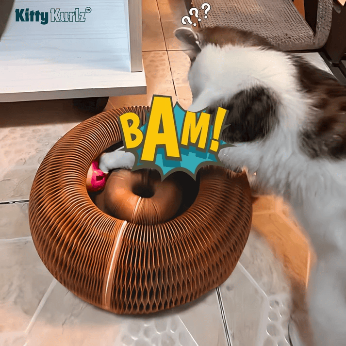Kitty Kurlz™ Magic Foldable Cat Scratch Board