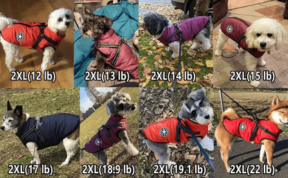 3 in 1 Dog Winter Jacket Pawtique Haven
