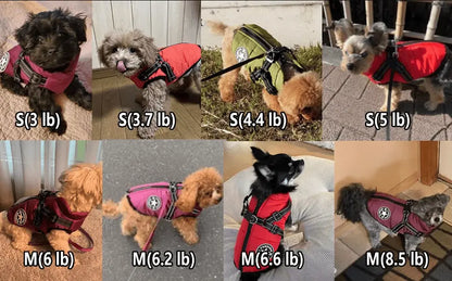 3 in 1 Dog Winter Jacket Pawtique Haven