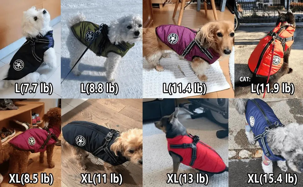 3 in 1 Dog Winter Jacket Pawtique Haven