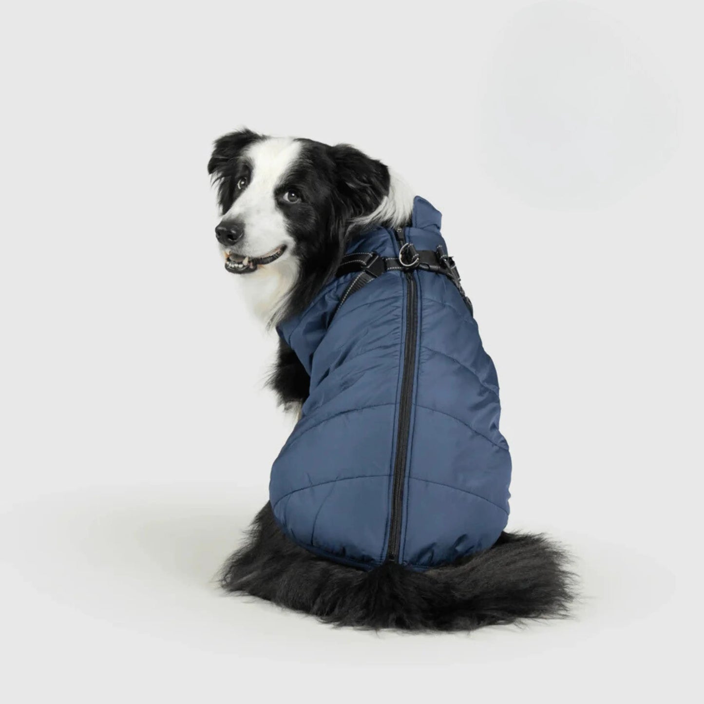 3 in 1 Dog Winter Jacket Pawtique Haven