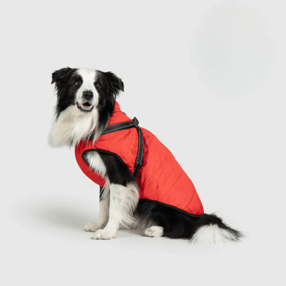 3 in 1 Dog Winter Jacket Pawtique Haven