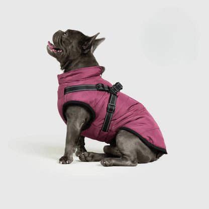 3 in 1 Dog Winter Jacket Pawtique Haven