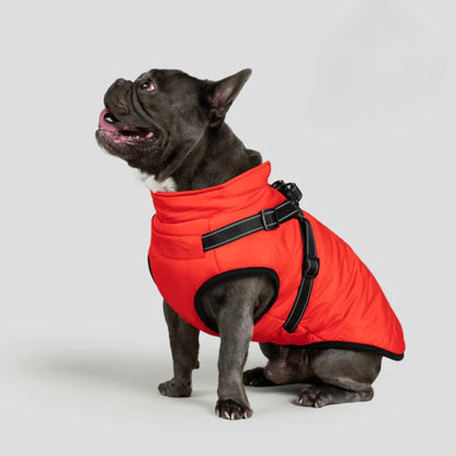 3 in 1 Dog Winter Jacket Pawtique Haven
