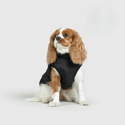 3 in 1 Dog Winter Jacket Pawtique Haven