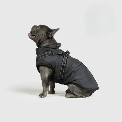3 in 1 Dog Winter Jacket Pawtique Haven