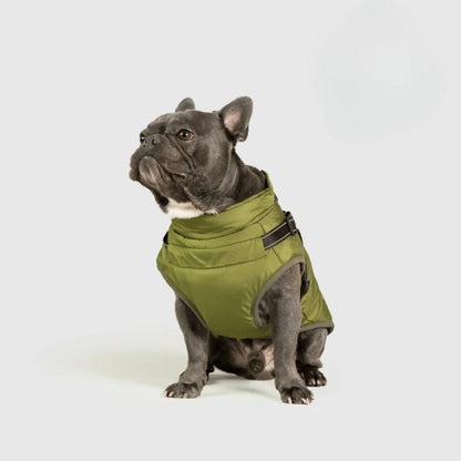 3 in 1 Dog Winter Jacket Pawtique Haven