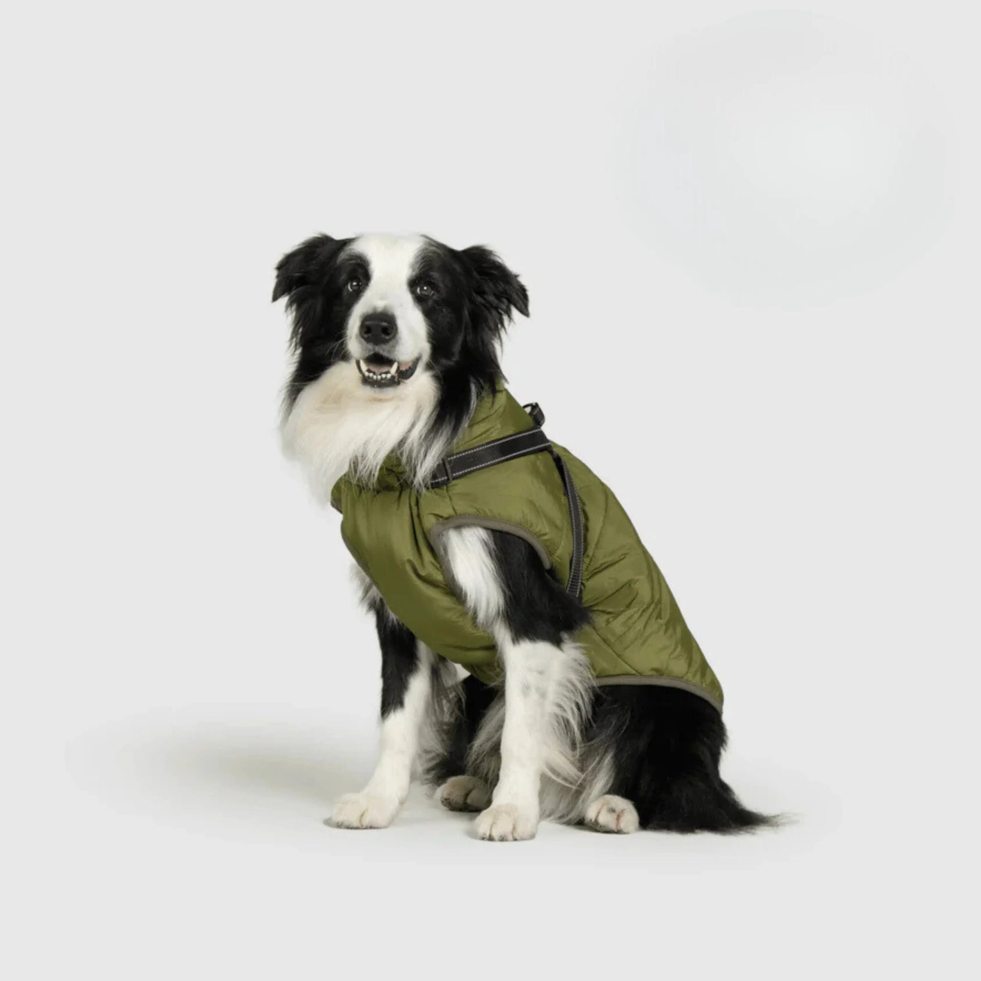 3 in 1 Dog Winter Jacket Pawtique Haven