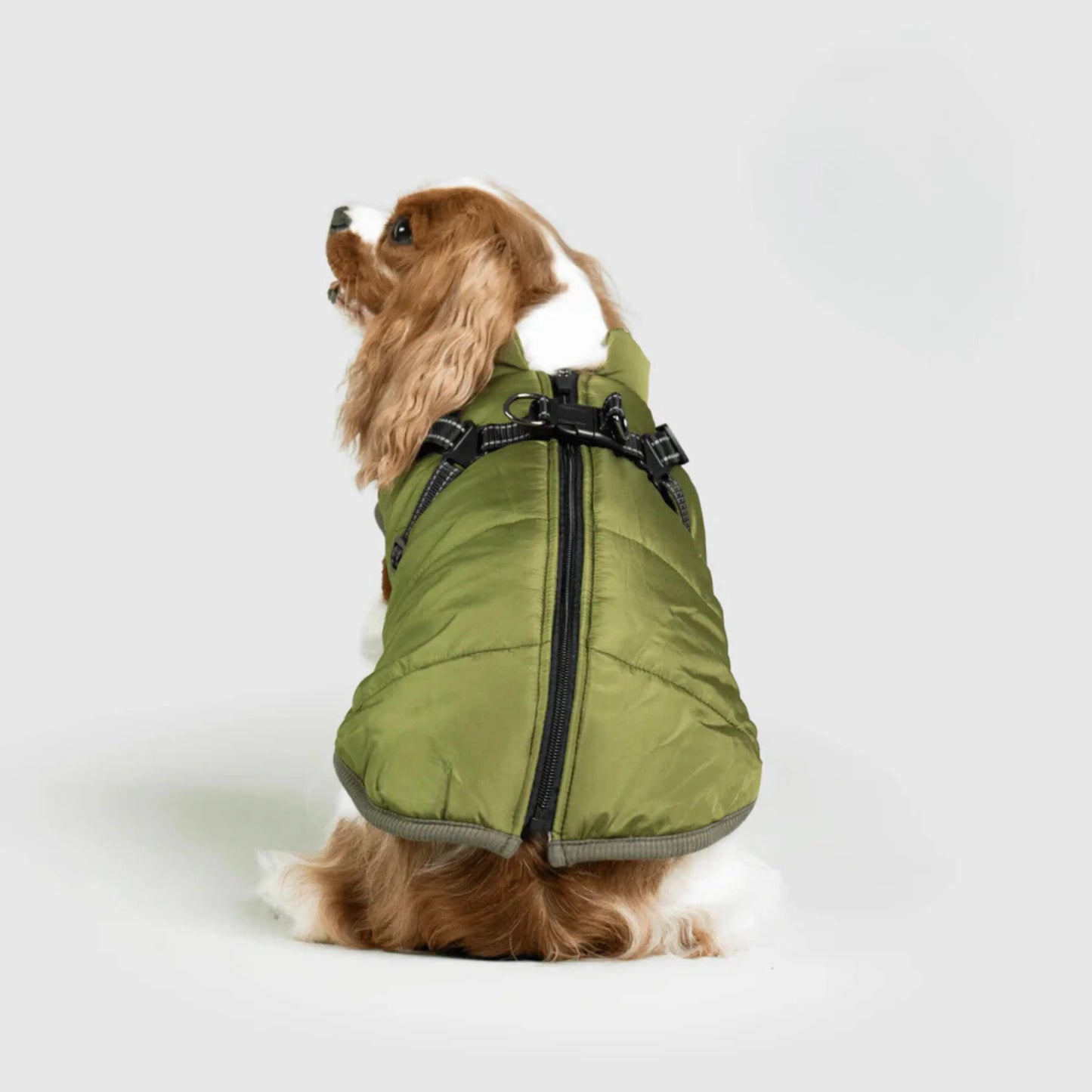 3 in 1 Dog Winter Jacket Pawtique Haven