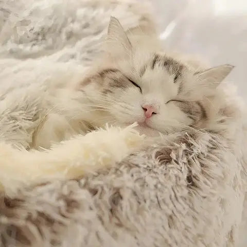 Cozy Cat Cave Bed Pawtique Haven
