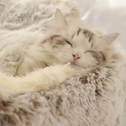 Cozy Cat Cave Bed Pawtique Haven