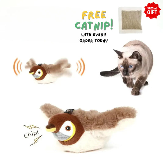 Interactive Bird Simulation Cat Toy