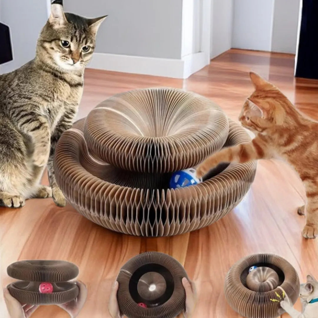 Kitty Kurlz™ Magic Foldable Cat Scratch Board