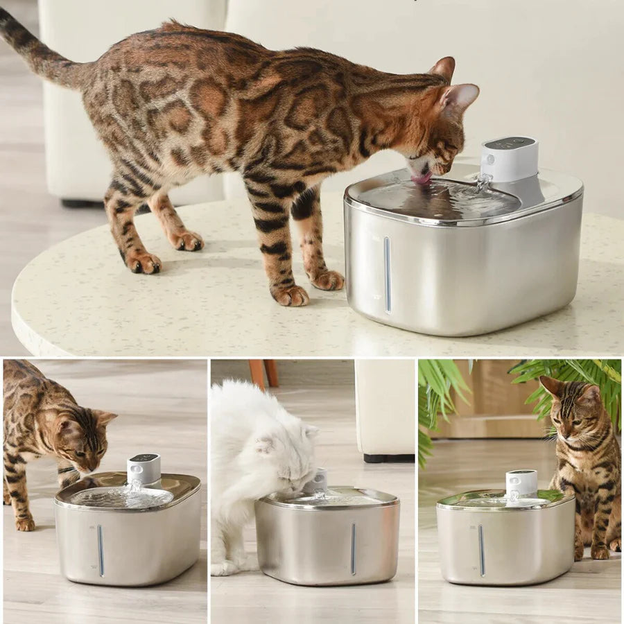 Smart Wireless Drinking Fountain